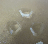 Тарелка, поддон для микроволновой печи Ø284mm LG (01303139 / 49PM010) с креплением под коплер 