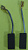 Щетка угольная 6х10х20 SPARKY (BU2 350,BUR2, 350E, m 902) (без пружин, со смещением)