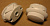 Кнопка (белая) овальная с короткой ножкой для плит  GEFEST(01040592)