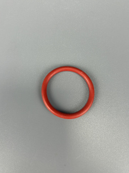 00015505-1