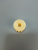 00012480-4
